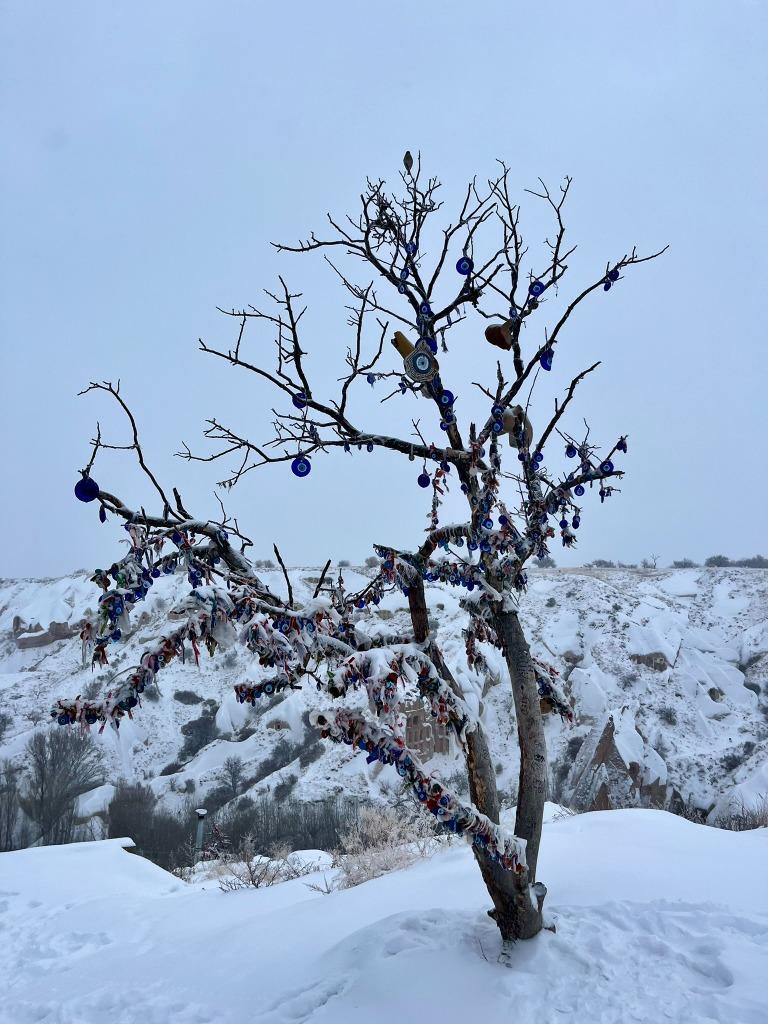 Árbol de los deseos blancos